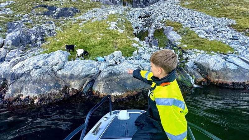 Stavanger: Guided Lysefjord Cruise to Pulpit Rock - Crossing Lysefjordbrua into the cliffs