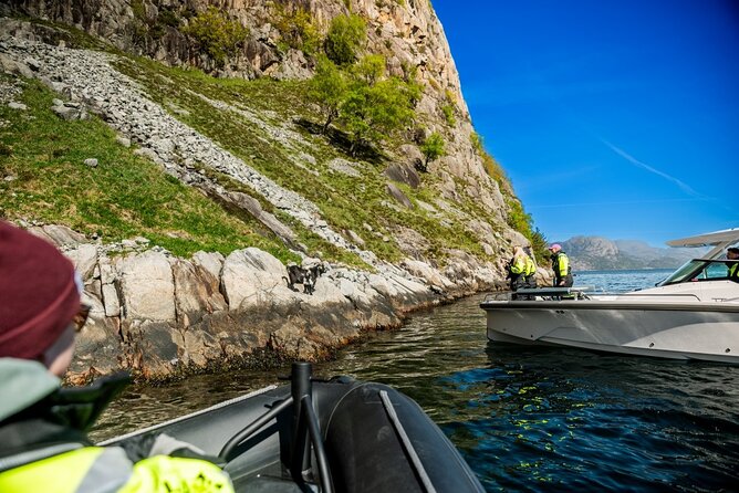 Stavanger: Guided Lysefjord Safari on Speedboat - Fantahålå, the Vagabond’s Cave