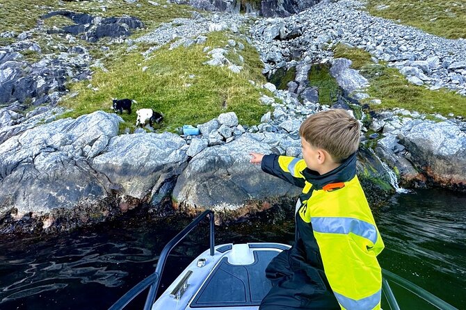 Stavanger: Guided Lysefjord Safari on Speedboat - Pulpit Rock from below
