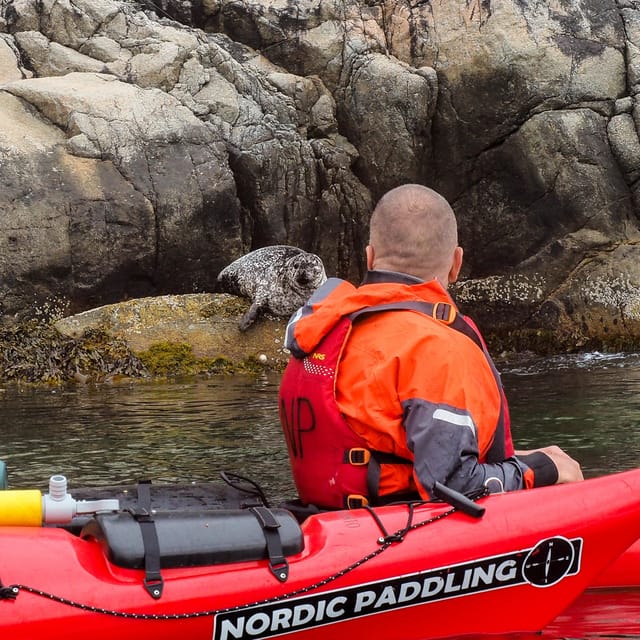 Stavanger: Lysefjord Kayak Safari (Waterfalls & Pulpit Rock) - A quiet lunch stop with Preikestolen in view