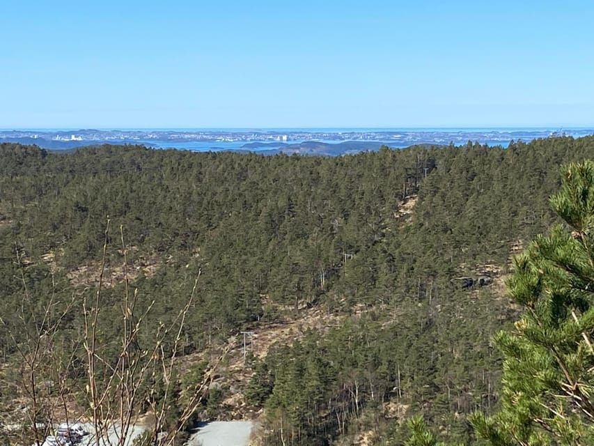 Stavanger: Preikestolen Tour with Guide and Pickup - What the guide adds beyond the view