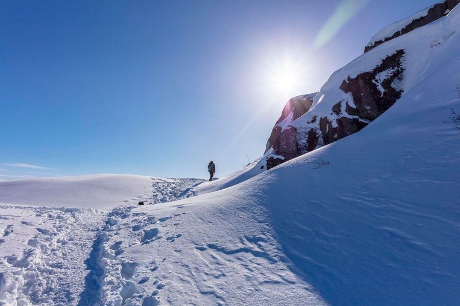 Stavanger: Preikestolen Winter Hike + Hot Lunch - Guide quality is central to the experience