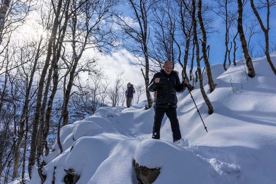 Stavanger: Preikestolen Winter Hike + Hot Lunch - Who should book this hike?