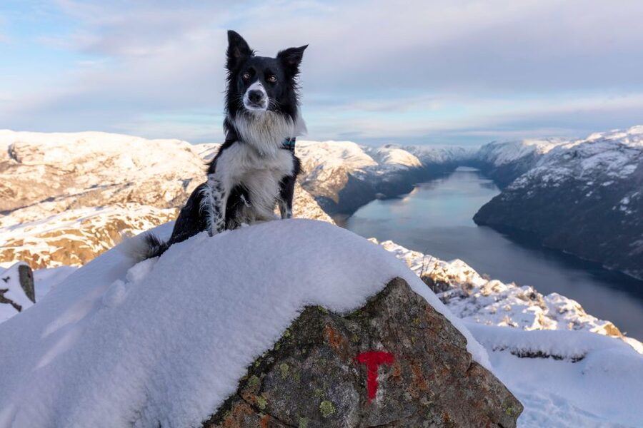 Stavanger: Preikestolen Winter Hike + Hot Lunch - Getting ready for snow, ice, and changing weather