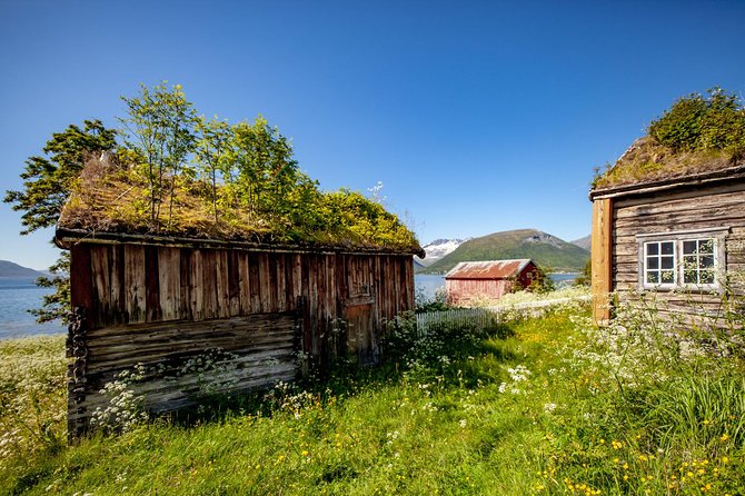 Summer Fjord Road Trip with Citizen Science with Wandering Owl - Leaving Tromsø for the ocean road