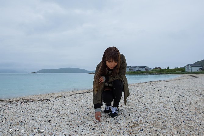 Summer Fjord Road Trip with Citizen Science with Wandering Owl - The homemade lunch is more than a snack break