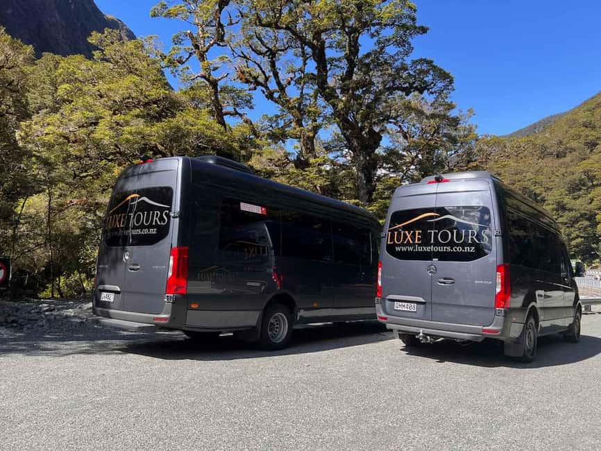 Te Anau: Premium Milford Sound Full Day Tour and Cruise - Key points to know before booking