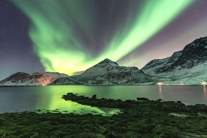 Tour of the authentic fjords of Kvaløya - Key points to know before you book