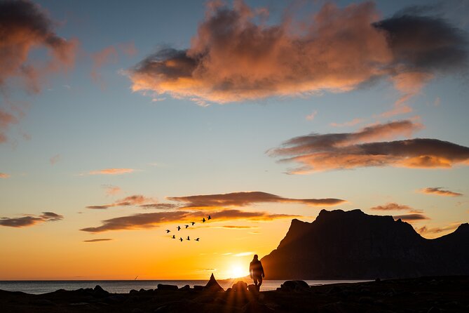 Tour of the authentic fjords of Kvaløya - Why Kvaløya makes a good half-day escape