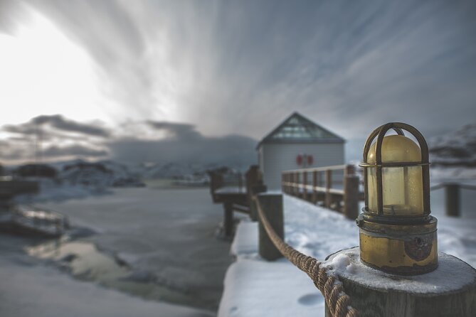 Tour of the authentic fjords of Kvaløya - Winter driving and comfort inside the minibus