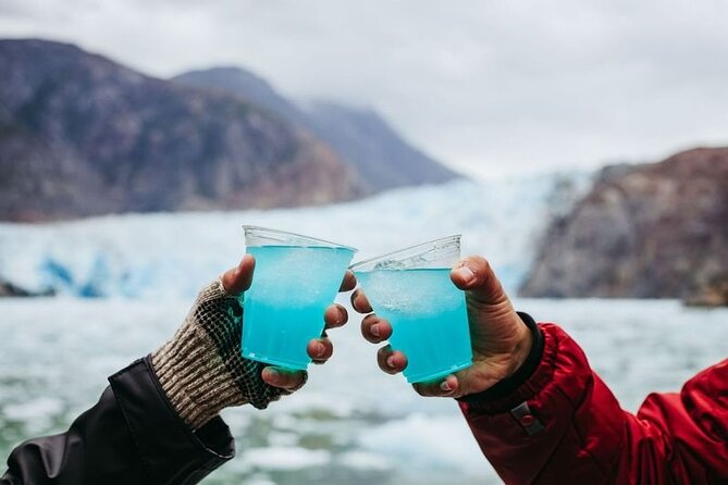 Tracy Arm Fjord and Glacier Explorer from Juneau - Glacier views, ice, and possible North Sawyer detour