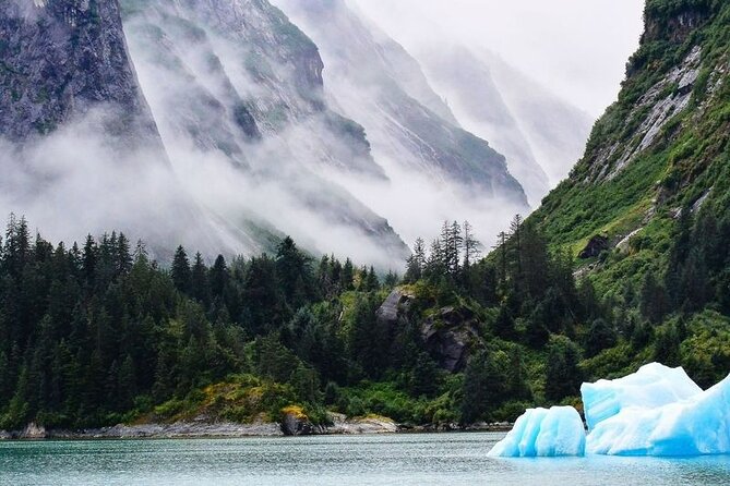 Tracy Arm Fjord and Glacier Explorer from Juneau - The 3-hour fjord portion
