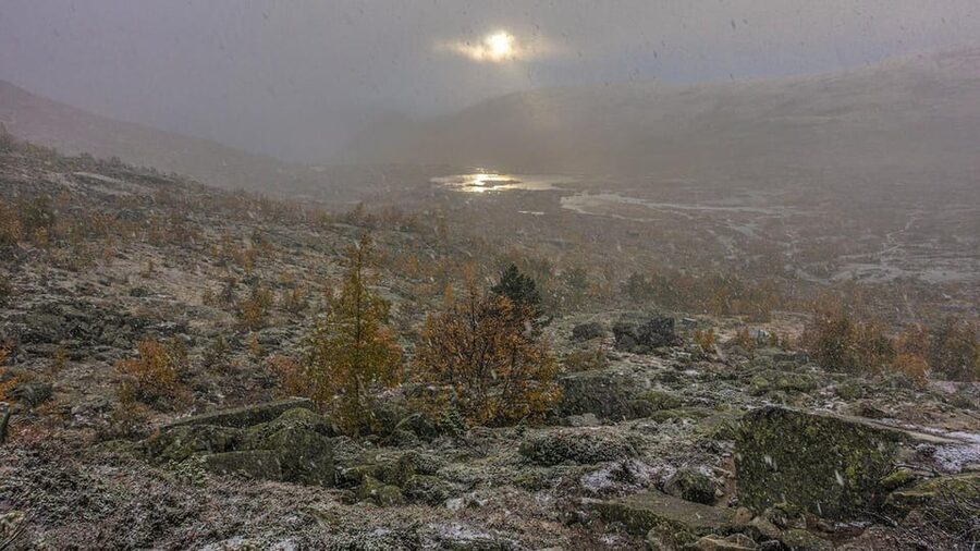 Trolltunga Autumn Hike Go Viking - Photo help is a practical part of the package