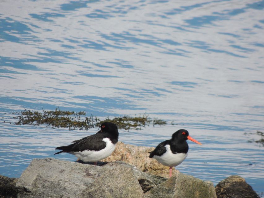 Tromso: All-Inclusive Arctic Fjords and Sommarøy Scenic Tour - Sommarøy: white beaches and a warm local lunch