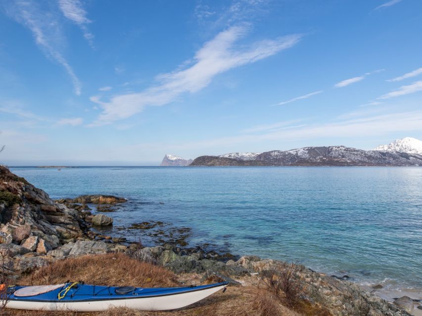 Tromso: All-Inclusive Arctic Fjords and Sommarøy Scenic Tour - The guide and driver make a real difference