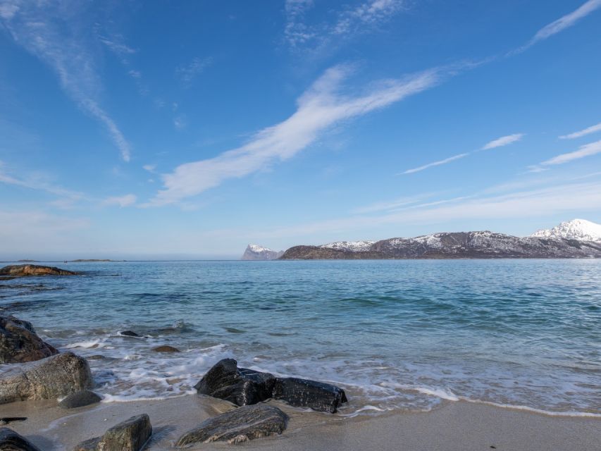 Tromso: All-Inclusive Arctic Fjords and Sommarøy Scenic Tour - The Mercedes Sprinter ride across Kvaløya