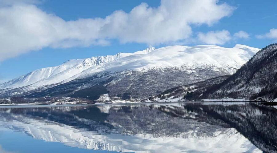 Tromsø: Arctic Fjord Cruise & Fishing Experience - A five-hour cruise with more to do than look at the view
