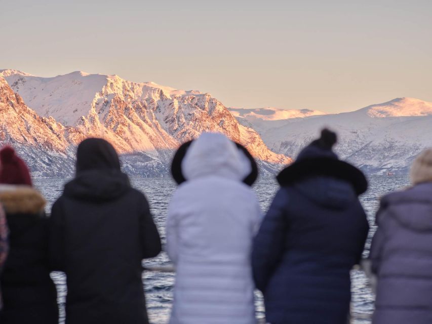 Tromsø: Arctic Fjord Cruise in Polar Landscapes - Should you book it?