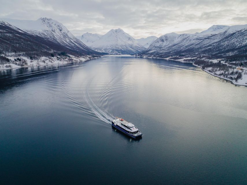 Tromsø: Arctic Fjord Cruise in Polar Landscapes - Photography tips that are actually useful