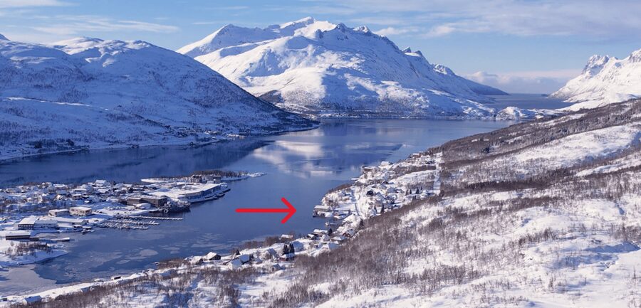 Tromsø: Arctic Fjord Floating in Survival Suit - Northern Lights are possible, not promised