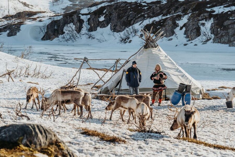 Tromsø: Arctic fjord sightseeing, Reindeer feeding and lunch - Inside the lavvo with fire, drinks, and joiking