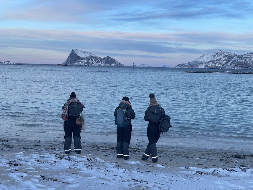 Tromsø: Arctic fjord sightseeing, Reindeer feeding and lunch - What the $283 price includes
