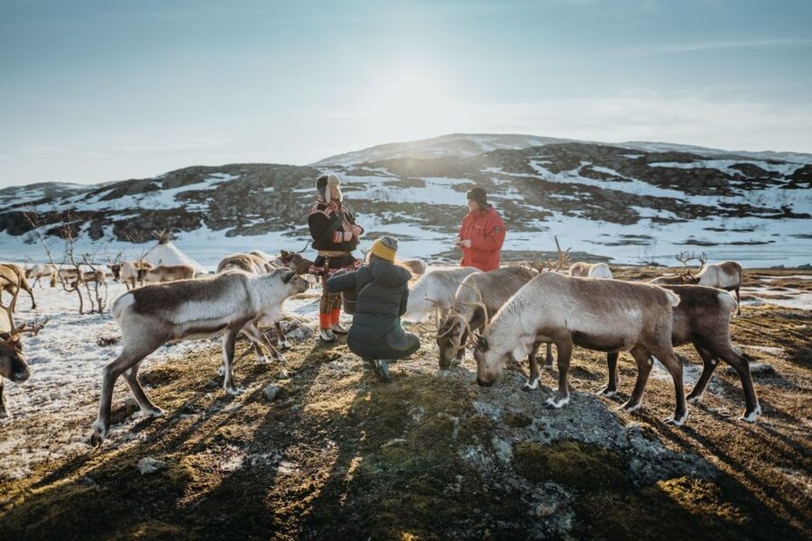 Tromsø: Arctic fjord sightseeing, Reindeer feeding and lunch - Kattfjordeidet: a useful first photo stop