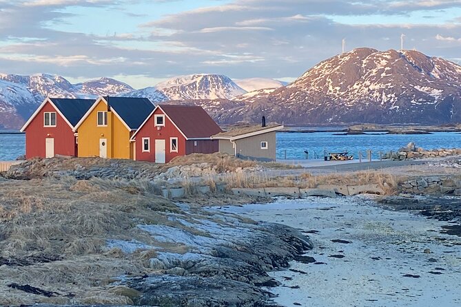 Tromsø Arctic Fjords Adventure Tour with Local Lunch - Key points at a glance