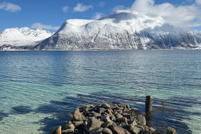 Tromsø Arctic Fjords Adventure Tour with Local Lunch - Is the $180.44 price good value?