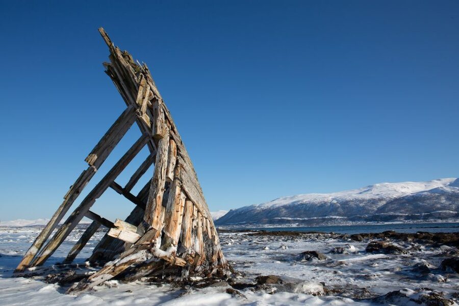 Tromsø: Arctic Fjords Tour to Kvaløya with Panoramic Lunch - Should you book it?