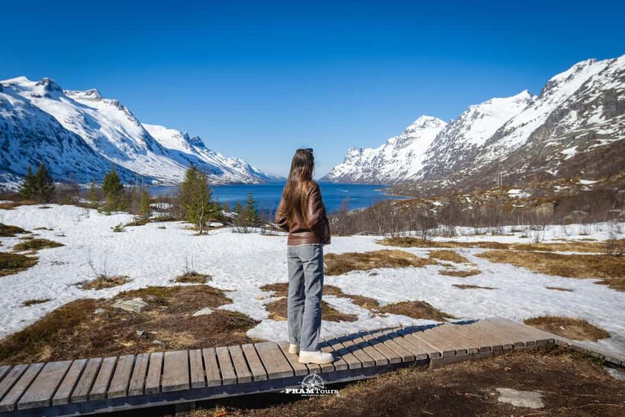Tromsø: Arctic Fjords Tour to Kvaløya with Panoramic Lunch - Wildlife watching on an Arctic road trip