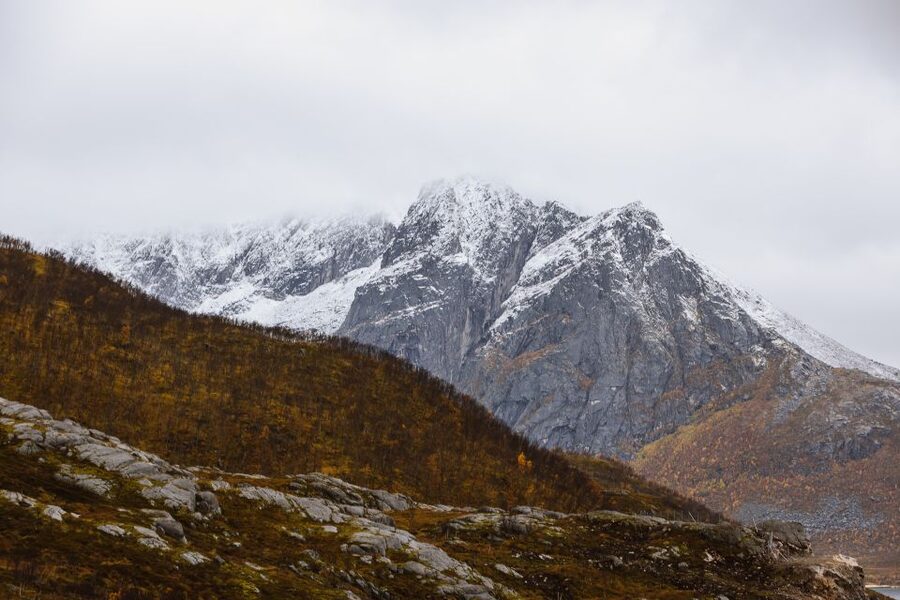 Tromsø: Arctic Fjords Tour to Kvaløya with Panoramic Lunch - A warm lunch beside the fjord