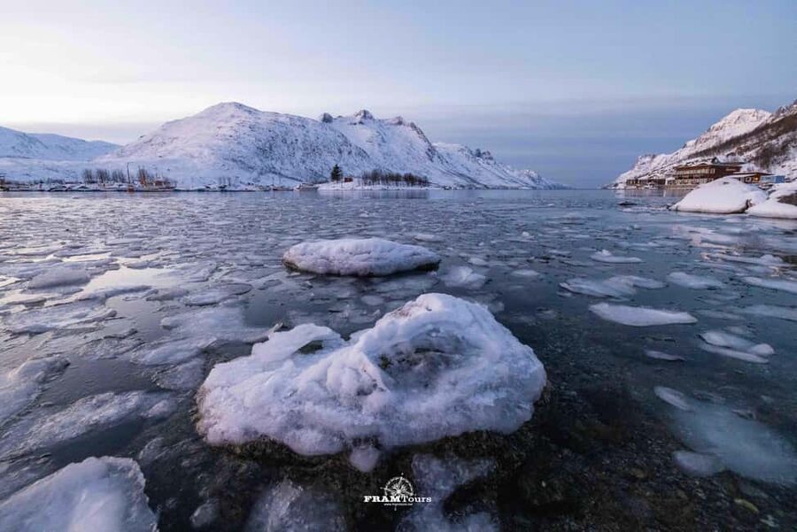 Tromsø: Arctic Fjords Tour to Kvaløya with Panoramic Lunch - What five hours really gives you