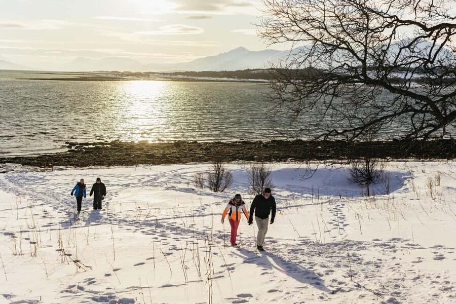 Tromsø: Arctic Landscape and Fjord Tour with Snacks - Is $114 good value for five hours?