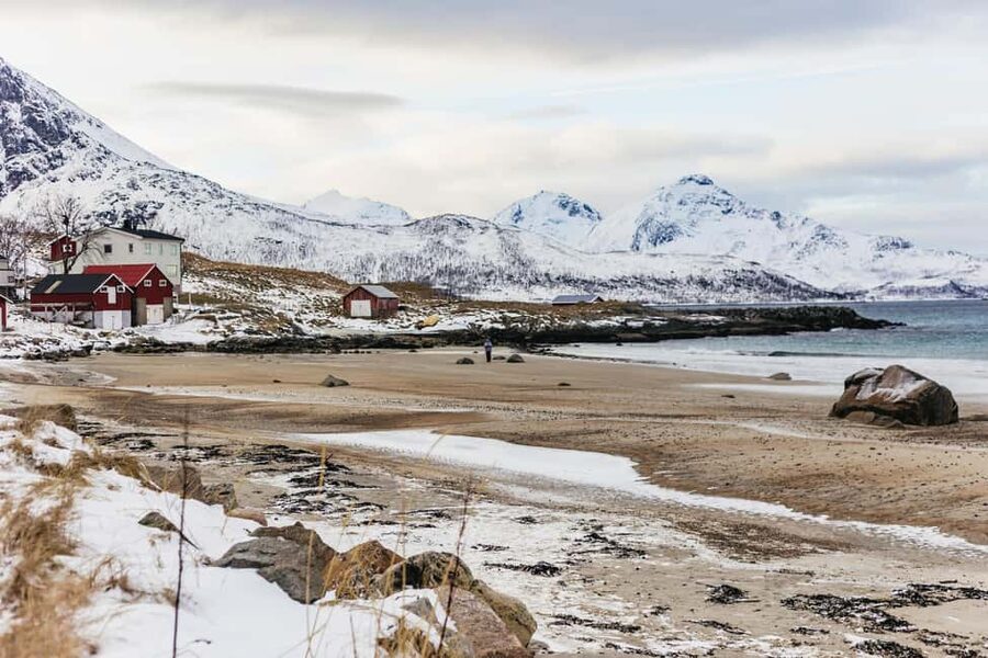 Tromsø: Arctic Landscape and Fjord Tour with Snacks - Meeting the guide near Tromsø’s historic center