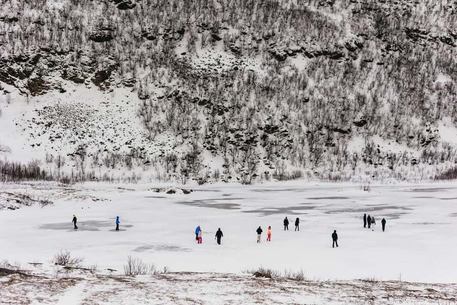 Tromsø: Arctic Landscape and Fjord Tour with Snacks - Fjordvegen 1156 and the road through snowy valleys