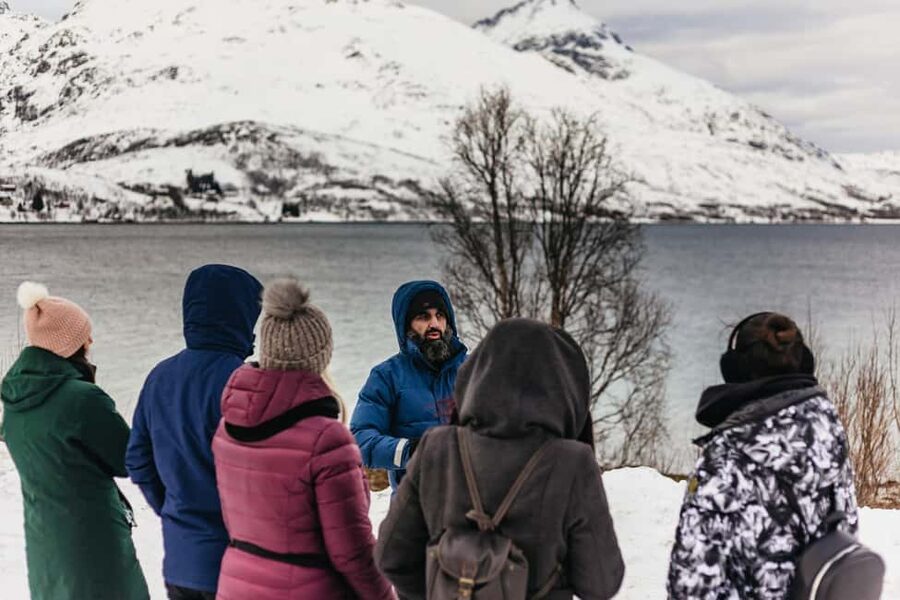 Tromsø: Arctic Landscape and Fjord Tour with Snacks - Grøtfjorden: the tour’s main scenic pause