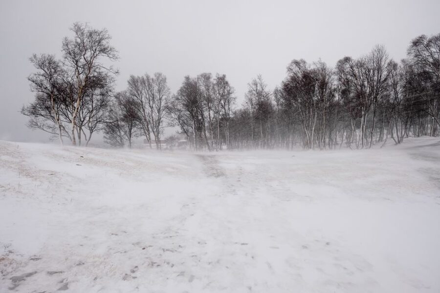 Tromsø: Arctic Landscape and Fjord Tour with Snacks - What winter conditions mean for comfort