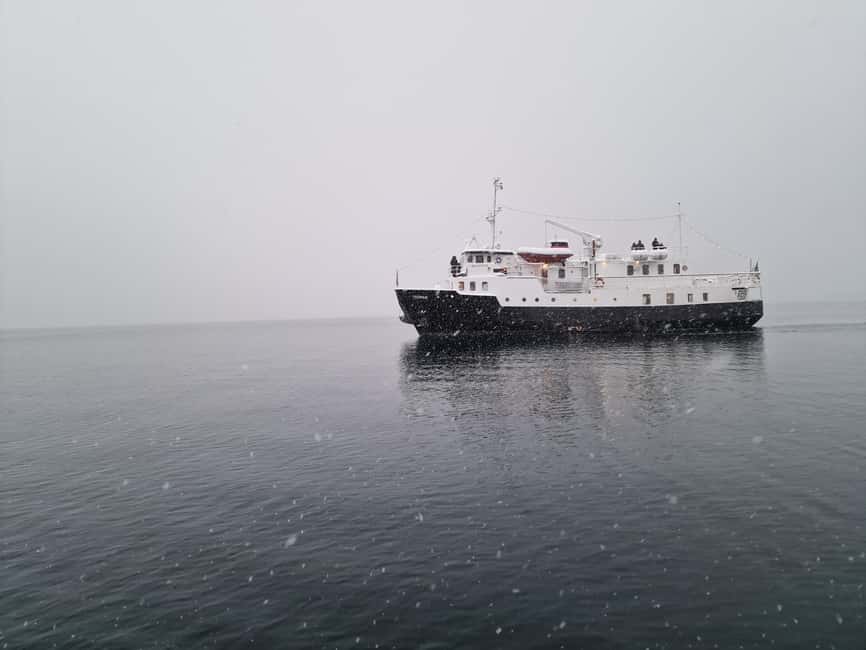 Tromsø: Classic arctic fjord cruise with lite lunch - The views are best from the open deck