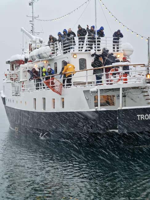 Tromsø: Classic arctic fjord cruise with lite lunch - Wildlife is possible, not promised