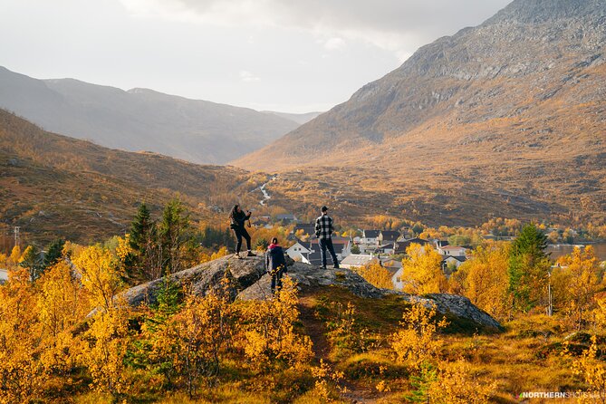 Tromsø: Day trip to the island of Sommarøy through the Fjords - What you can expect on the road to Sommarøy
