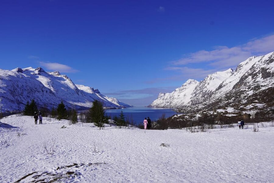 Tromsø: Exclusive Fjord Adventure by Bus - Key points to know before booking