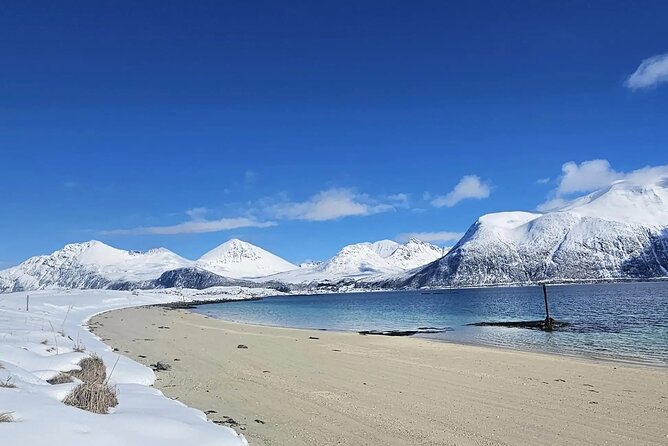 Tromso Excursion Artica Fjords and Sommaroy Islands with lunch - Soup, hot drinks, and a Norwegian dessert