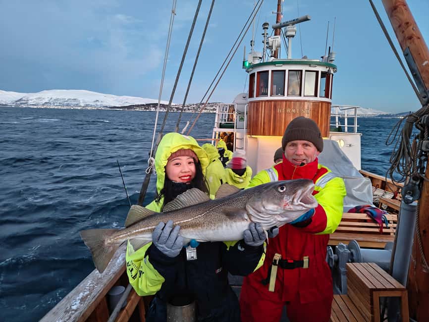Tromsø: Fishing & Fjord Cruise - Key points to know before you book