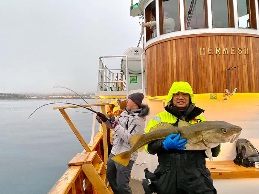 Tromsø: Fishing & Fjord Cruise - Setting out from Tromsø on Hermes II