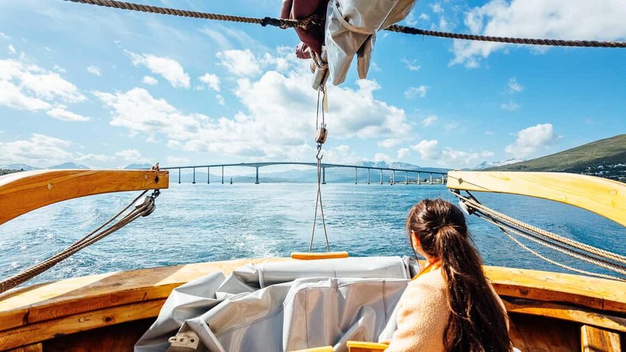 Tromsø: Fishing & Fjord Cruise - Views, wildlife, and the story of the boat