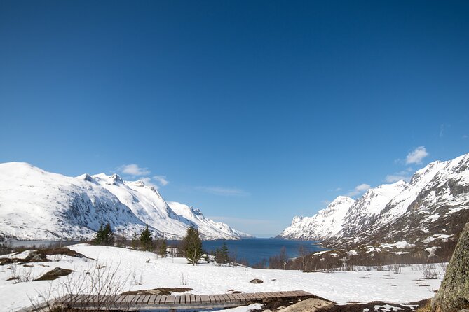 Tromsø: Fjord Adventure Tour with Wildlife and Lunch - Key points at a glance