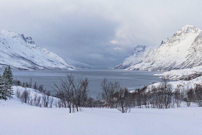 Tromsø: Fjord Adventure Tour with Wildlife and Lunch - Wildlife watching without false promises