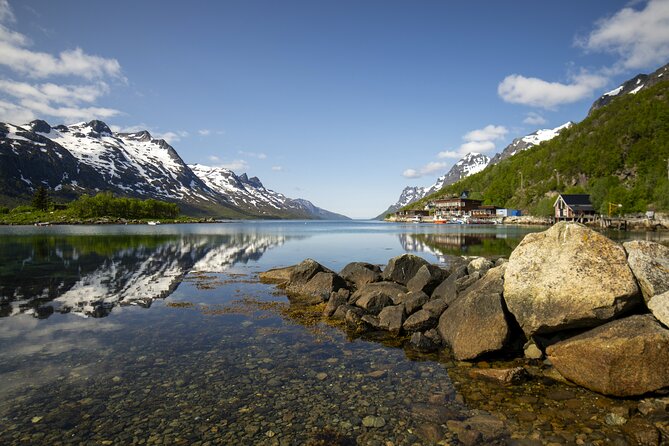 Tromsø: Fjord Adventure Tour with Wildlife and Lunch - The guides make the difference