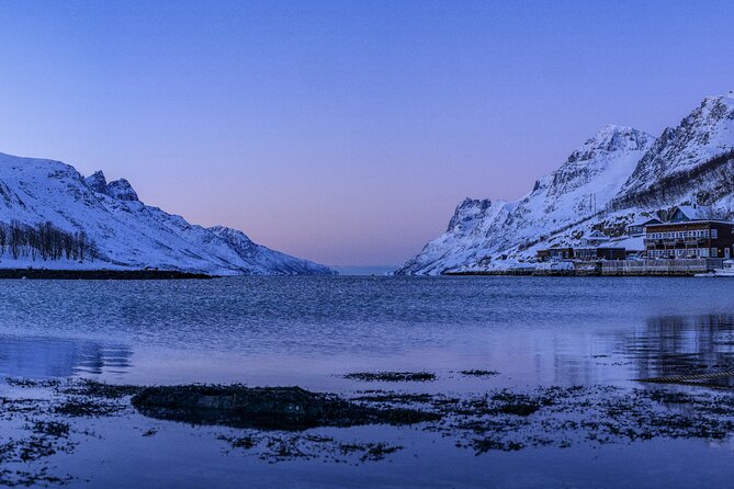 Tromsø: Fjord Adventure Tour with Wildlife and Lunch - What lunch adds to the day